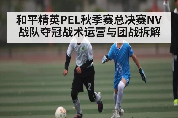 和平精英PEL秋季赛总决赛NV战队夺冠战术运营与团战拆解